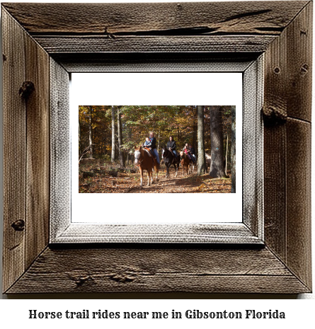 horse trail rides near me in Gibsonton, Florida